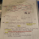 German Wk 6 notes