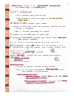 Week of 3/3-3/5