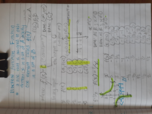 Pre-Calculus Math180 Week 2 Notes