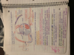 Biology 336 Exam 2 Study Guide 