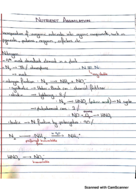Week 4 Notes