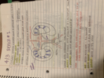 BIOL 336 Exam 3 Study Guide 