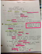 Speech Week 1 Notes