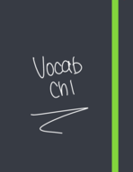Chapter 1  Vocabulary