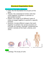 Week 2 notes Body tereminology