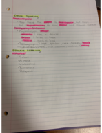 Ethical Speaking and Listening Notes