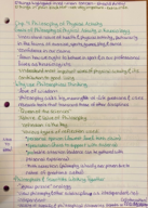 KINE 001 Chapter 4 Philosophy of Physical Activity