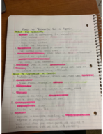 Speech Week 2 Notes