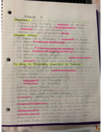 Module 4 Notes