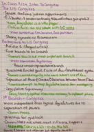 gOVT 006 In Class Discussion 9/24 Introduction To Congress