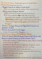 GOVT 006 In Class Discussion 10/6 The Presidency as an Institution