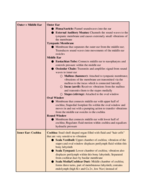 Hearing Notes