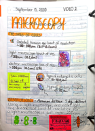 BIOL 225/V2a-V2b Notes