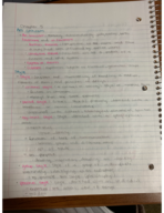 Week 10 Notes