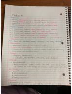 Module 9 Notes