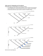 Bio 152 10/26 Lecture 23