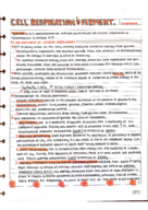 Cellular Respiration and Fermentation 
