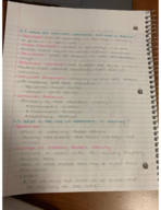 Module 11 Notes