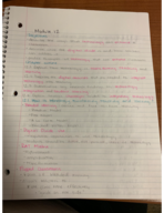 Module 12 Notes