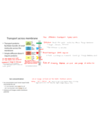 BIOL 2201 WEEK 8