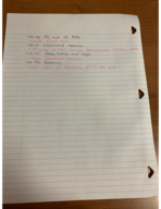 Final Exam Study Guide