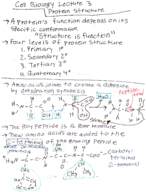 BIOS 2300 Lecture 3 Notes
