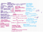 Unit 4 notes