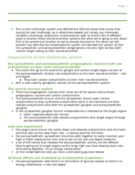 NEUR 3204 week 4 notes 