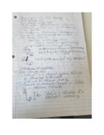 Cell Bio Week 2