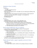 Chapter 7 - NEUR2202