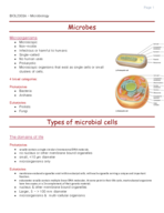 BIOL 2303 final summary notes 