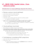 NEUR3206 Week 4 Notes