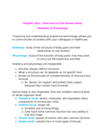 Overview of the Human Body  Chapter One