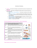 Chapter One - Overview of Anatomy