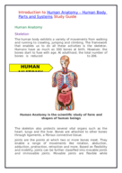 Human Anatomy & Physiology Study Guide