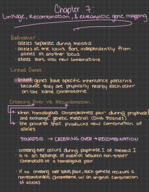 Genetics: chapter 7