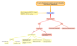 Bradycardia causes