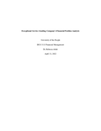 Exceptional Service Grading Company’s Financial Position Analysis
