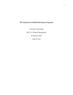 NPV Estimates for WePROMOTE Business Expansion