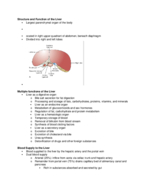 Pathophysiology II: Week Two Chapter 38 Notes