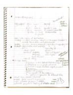 Stand Up, Speak Out Chapters 1-3 Notes