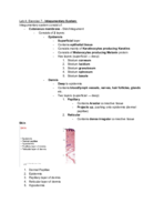 Anatomy and Physiology Lab Week 4; Exercise 7