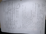 Chapter 1- Stats & Behavior 
