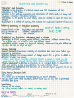 PSY 1010 Chapter 5 notes