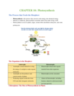 Chapter 10: Photosynthesis