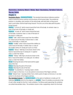 Anatomy Week 1 Notes (Basic Vocab, Vertebral Column, Rib Cage, and Pelvis