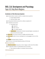 Topic 6 Notes: The Brain & Nervous System