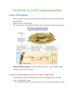 Chapter 11: Cell Communication