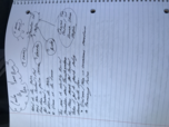 CJUS 1101 Intro to Criminal Justice Notes