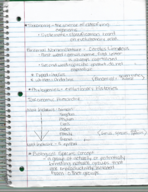 Theory and Evidence of Evolution